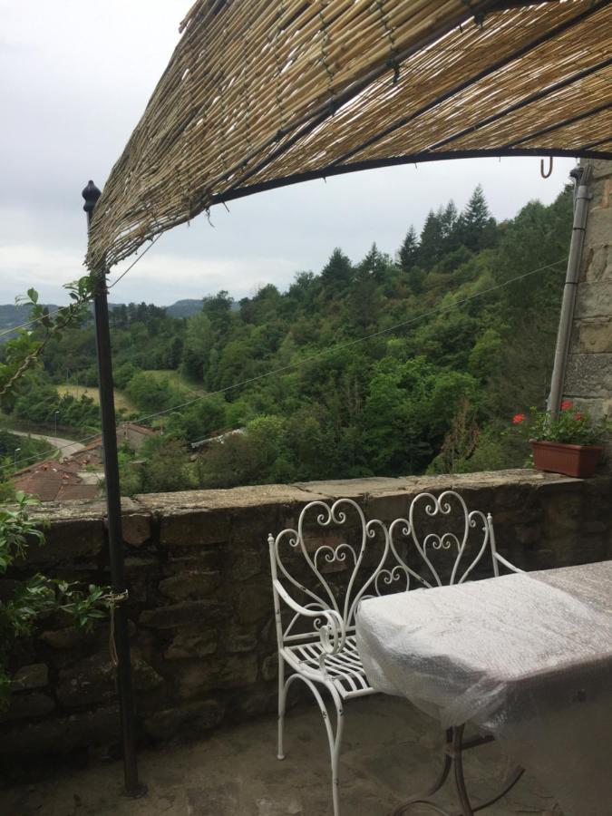 Castello Di Urbech Lägenhet Pratovecchio Exteriör bild