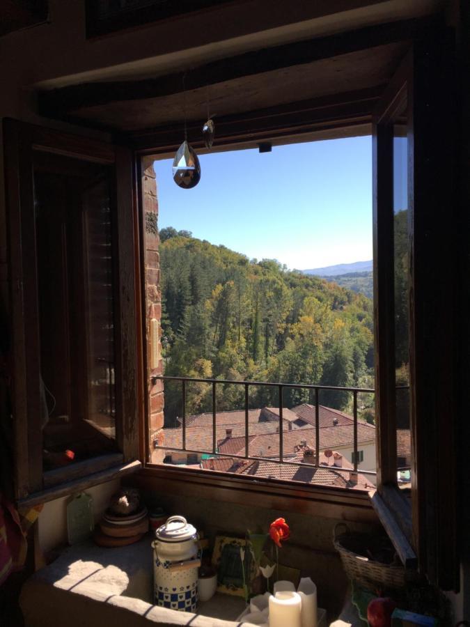 Castello Di Urbech Lägenhet Pratovecchio Exteriör bild