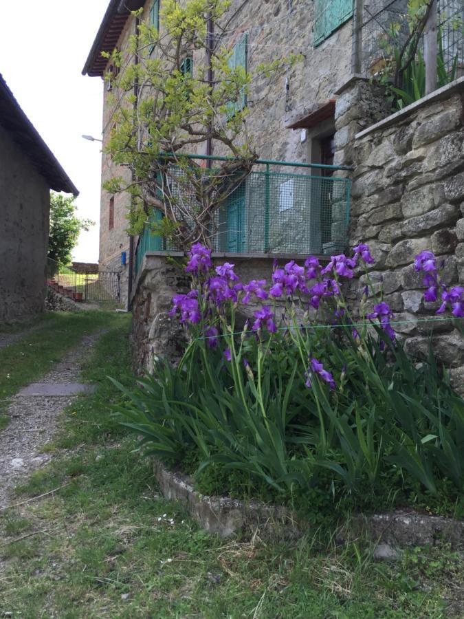 Castello Di Urbech Lägenhet Pratovecchio Exteriör bild
