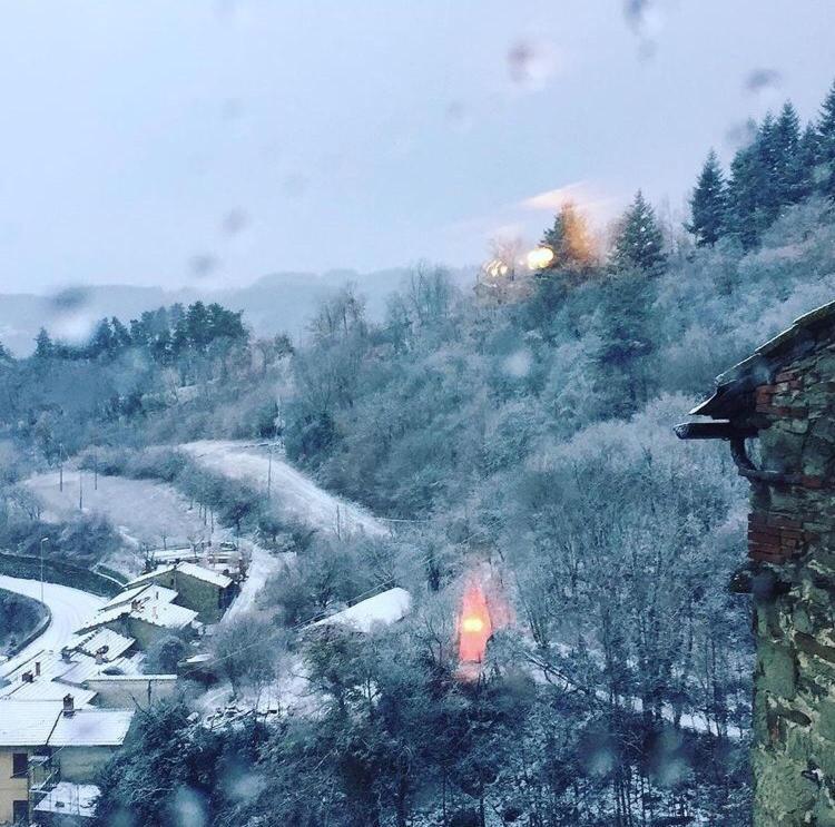 Castello Di Urbech Lägenhet Pratovecchio Exteriör bild