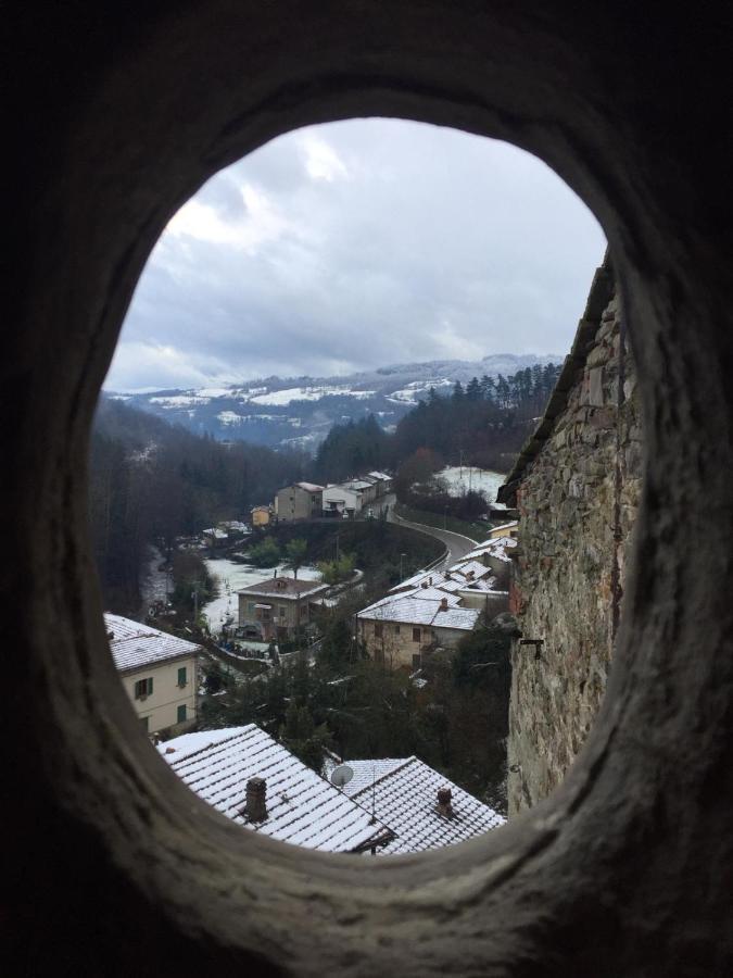 Castello Di Urbech Lägenhet Pratovecchio Exteriör bild