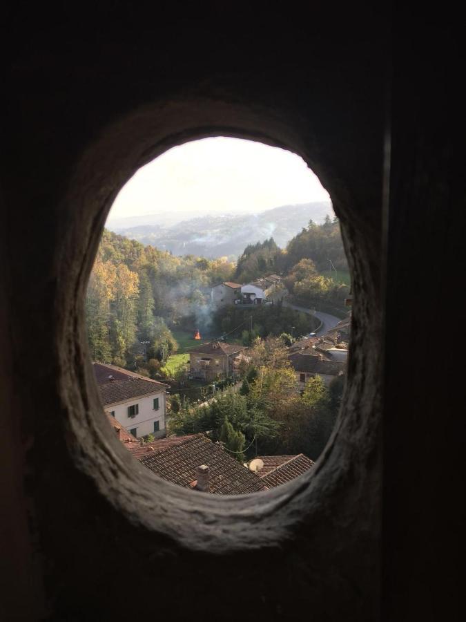 Castello Di Urbech Lägenhet Pratovecchio Exteriör bild