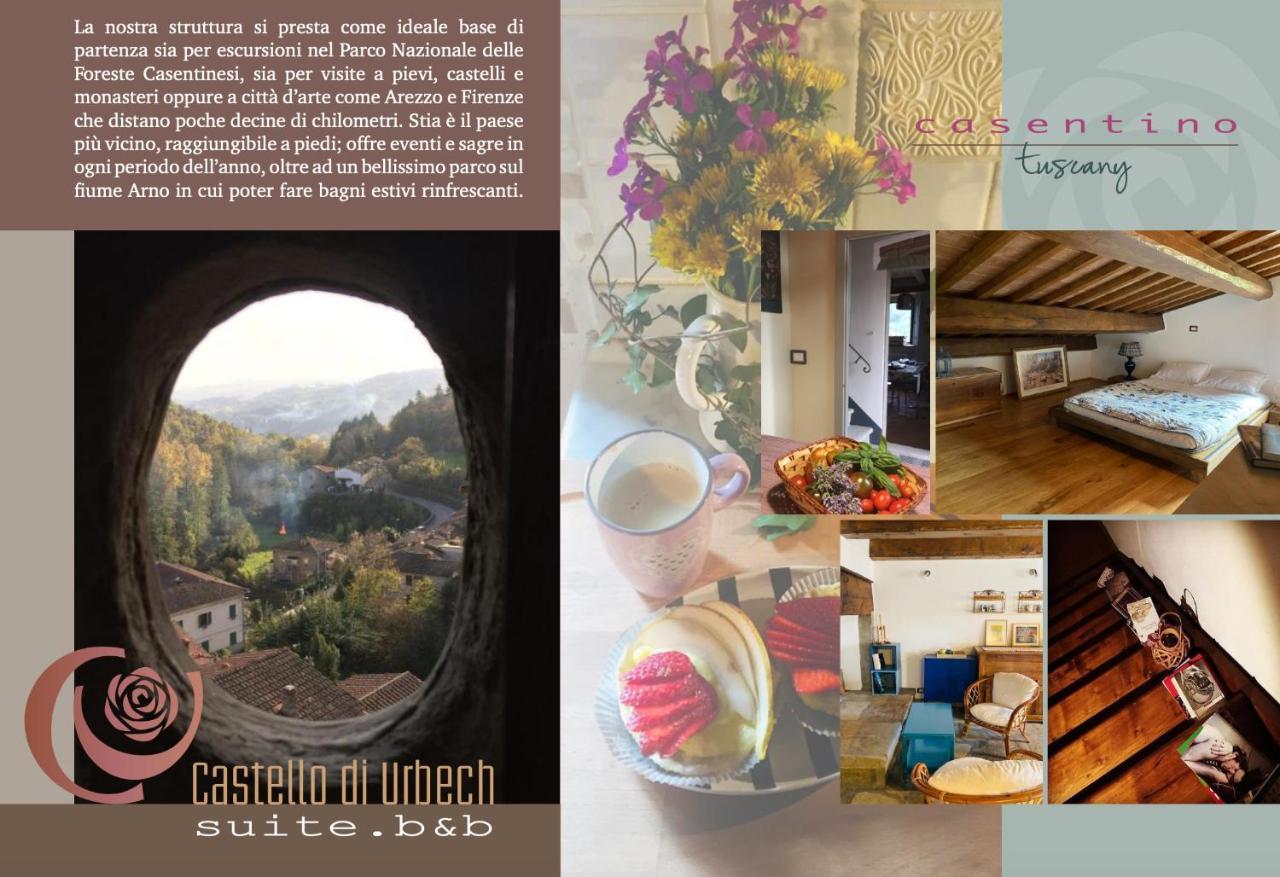 Castello Di Urbech Lägenhet Pratovecchio Exteriör bild